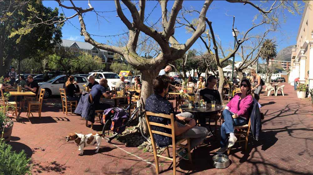 Dog-Friendly Restaurants in Cape Town