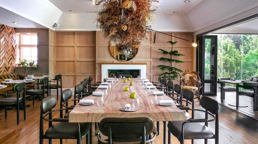 Best wine farms in Constantia