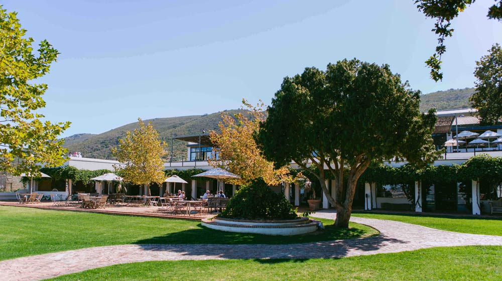 Child friendly Wine Farms