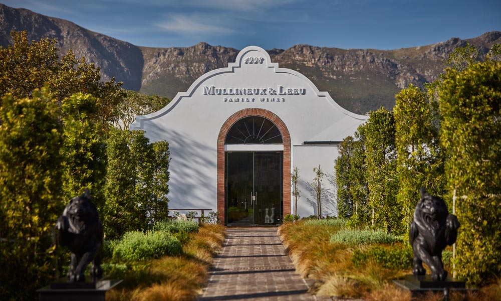 wine tasting in Franschhoek