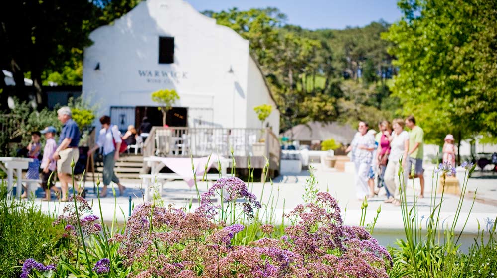 Kid-friendly wine farms Warwick