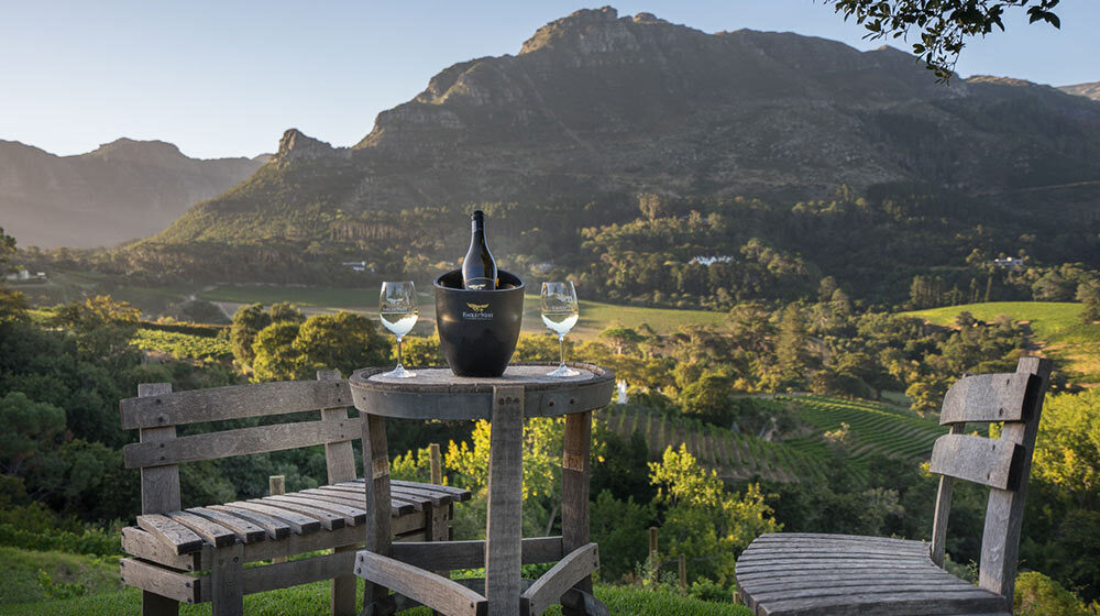 wine tasting in Constantia