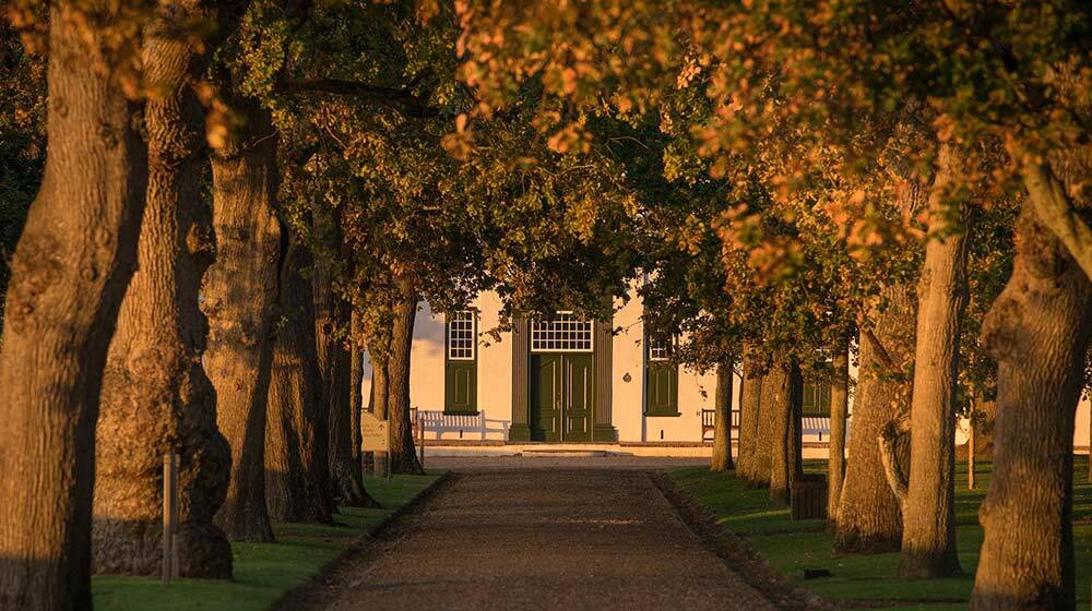 wine tasting in Constantia