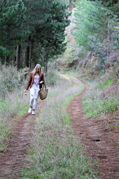 Delheim Mushroom Forage