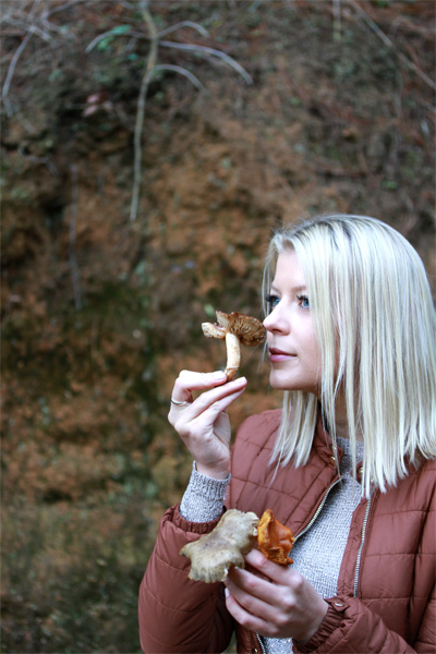 Delheim Mushroom Forage