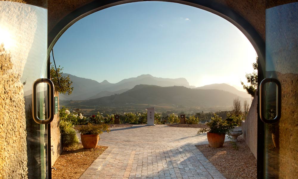 Wine Tasting in Franschhoek