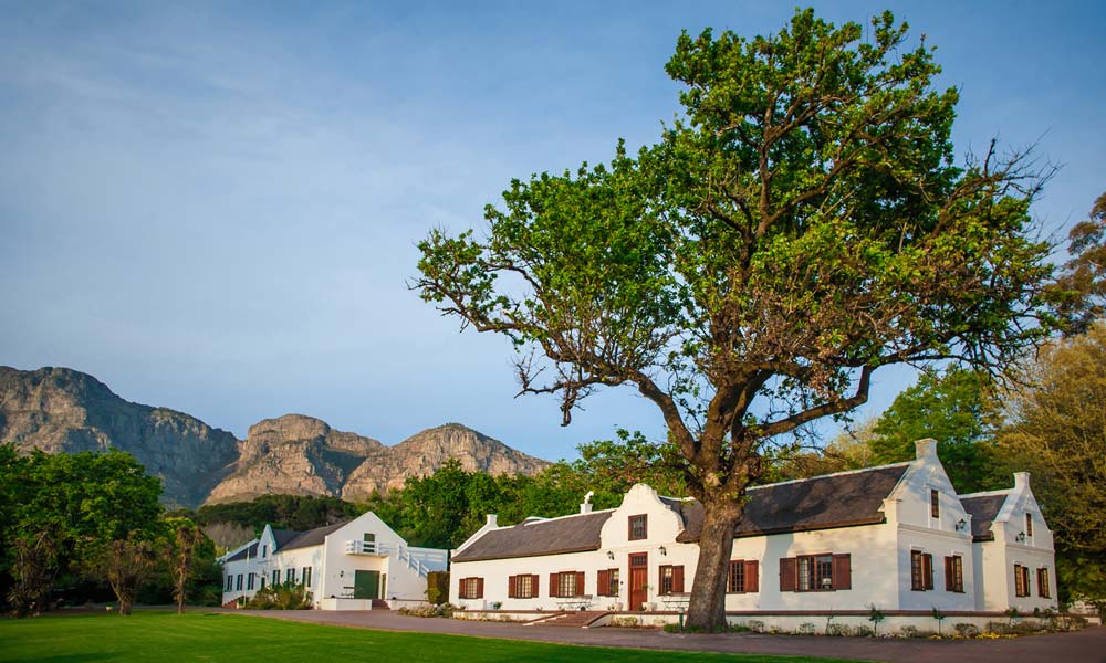 Wine Tasting in Franschhoek