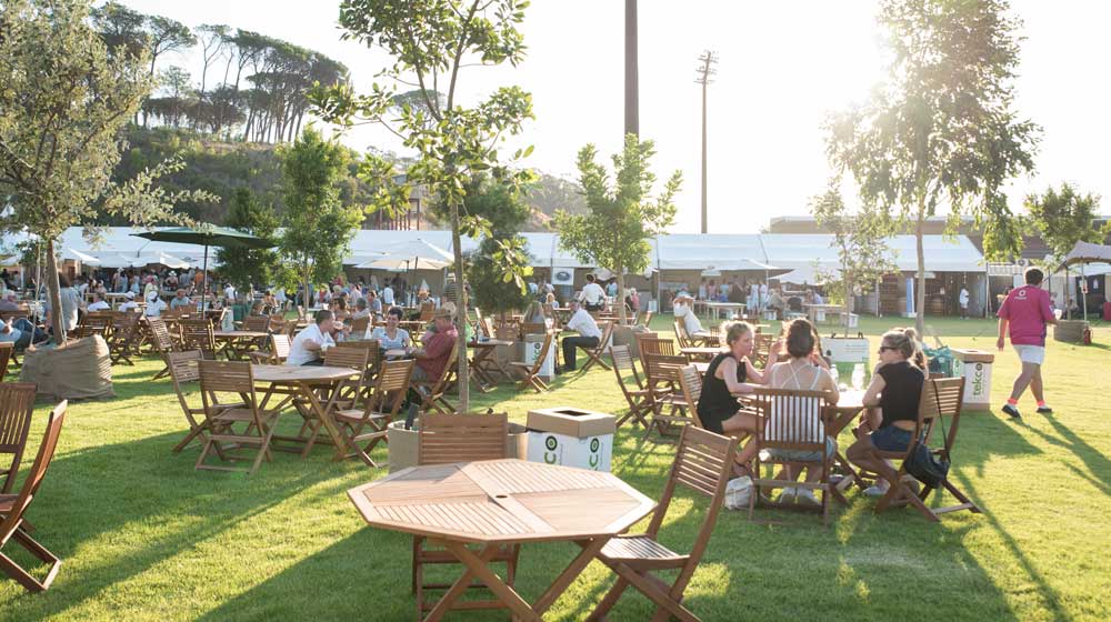 Stellenbosch Wine Festival 2018