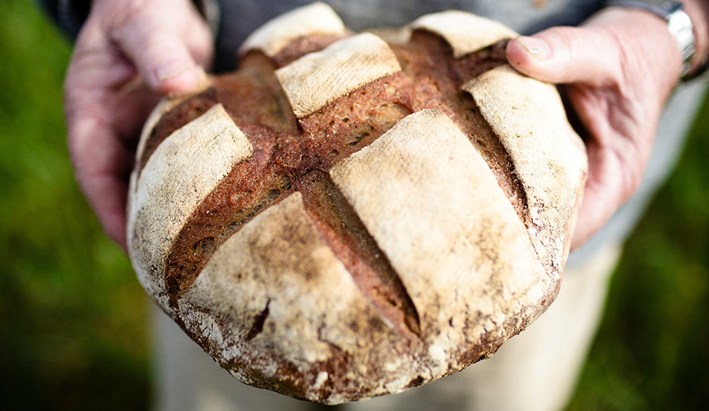 bio-wheat flour