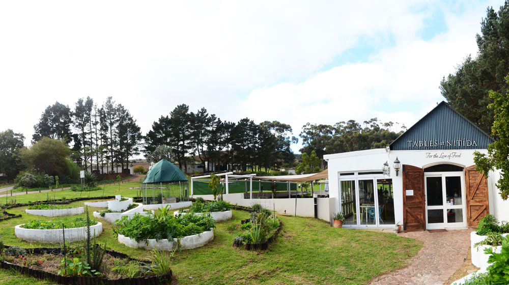 Winelands restaurants for Sunday lunch - Tables Nitidia