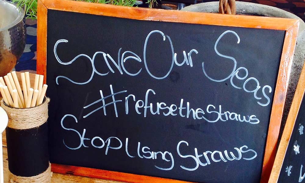 no plastic straw initiative