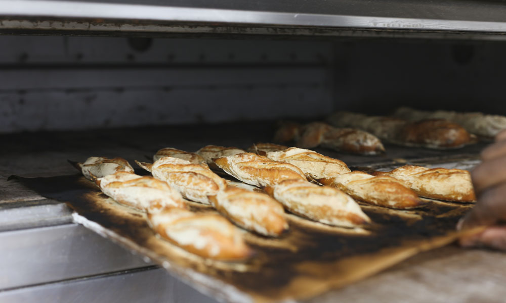 Bread Recipes