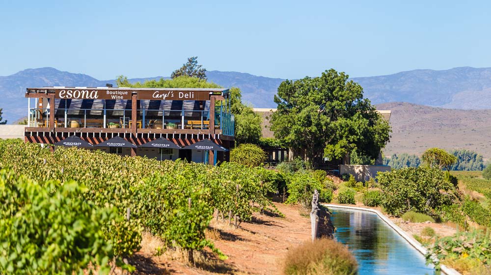 where to go wine tasting in Robertson