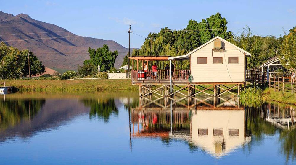 where to go wine tasting in Robertson