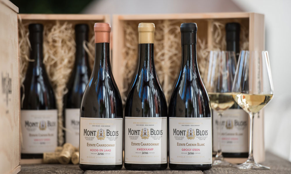 wine tasting in Robertson mont blois