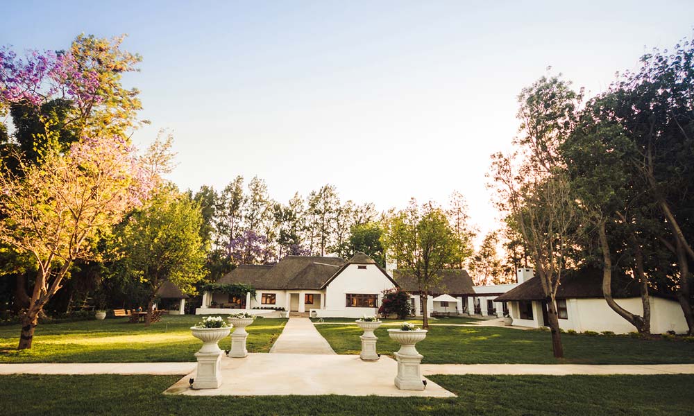 Where to go wine tasting in rietvallie