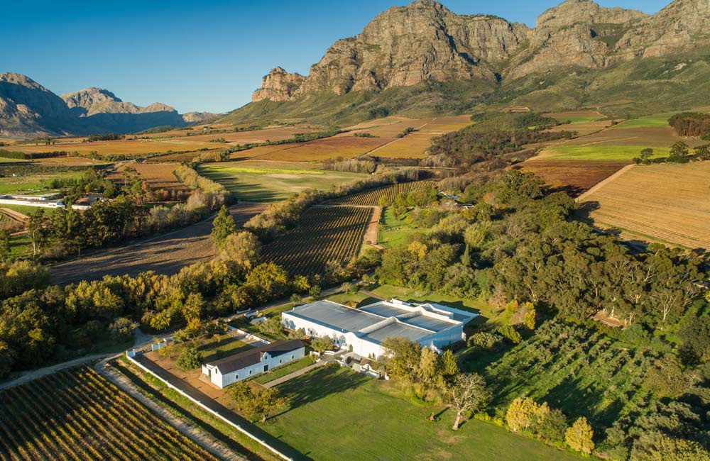 Neil Bester Plaisir de Merle winemaker