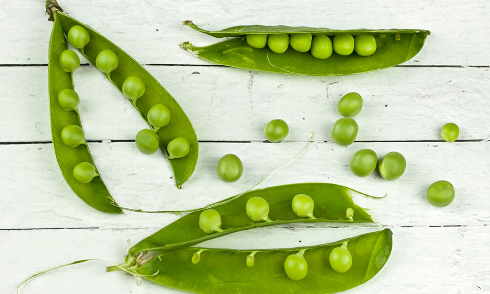 easy protein alternatives for vegans