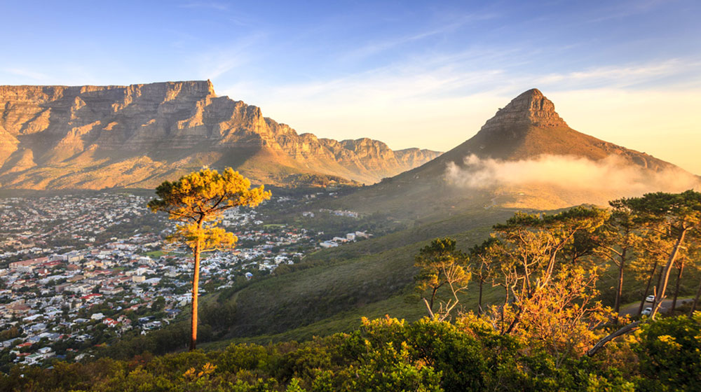 Lion's Head Closure