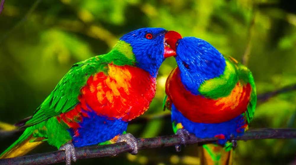 Romantic things to do in Cape Town