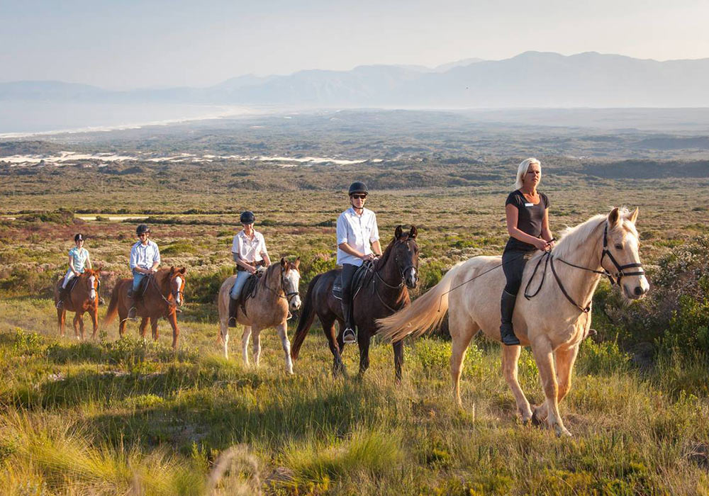 Grootbos Private Nature Reserve