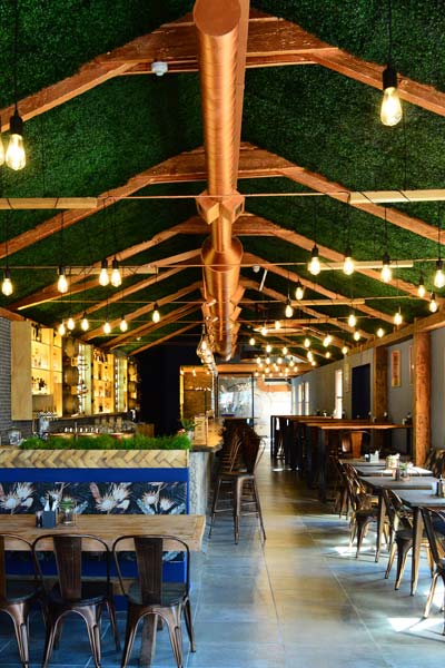 CAUSE|EFFECT Cocktail Kitchen & Cape Brandy Bar interior CAUSE|EFFECT Cocktail Kitchen & Cape Brandy Bar interior
