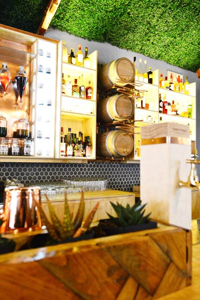 CAUSE|EFFECT Cape Brandy Bar CAUSE|EFFECT Cape Brandy Bar