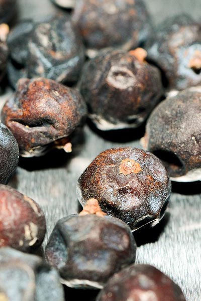 enjoy gin with juniper berries enjoy gin with juniper berries