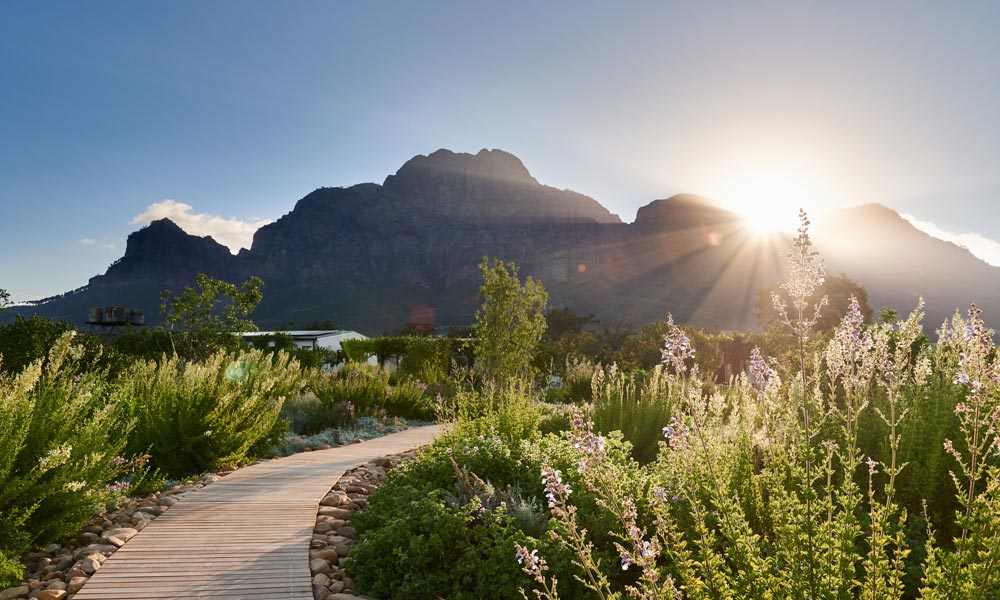Boschendal farm South Africa