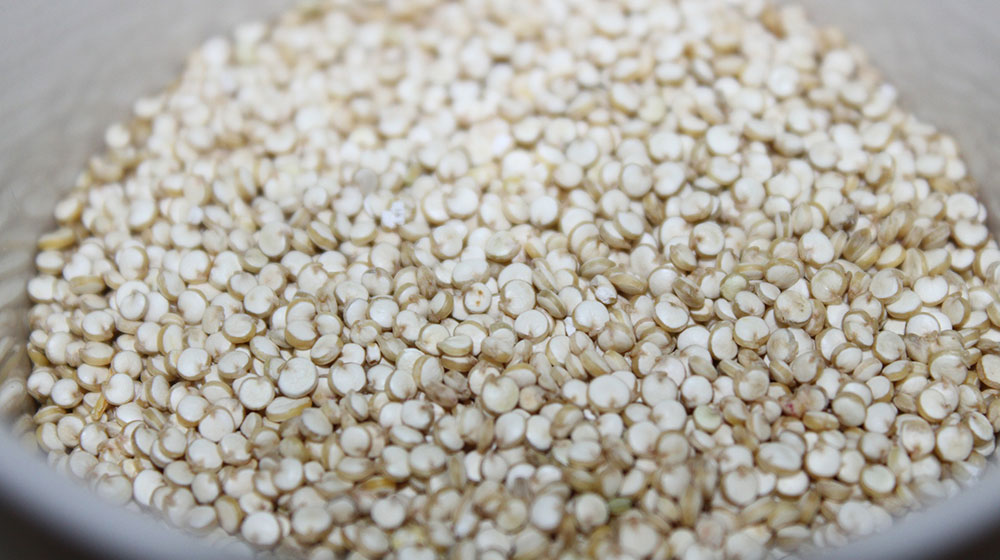raw quinoa