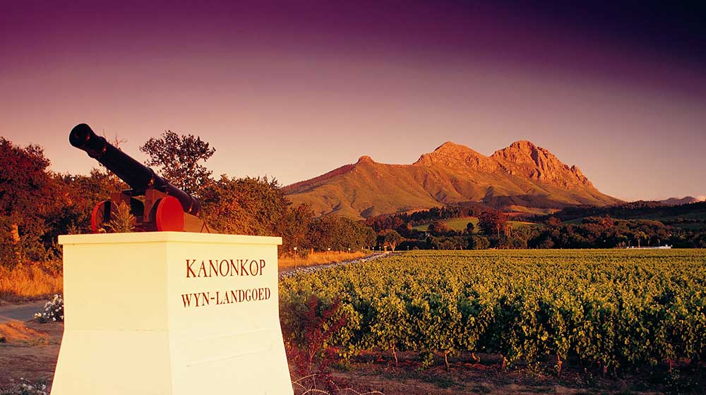 wine farms close