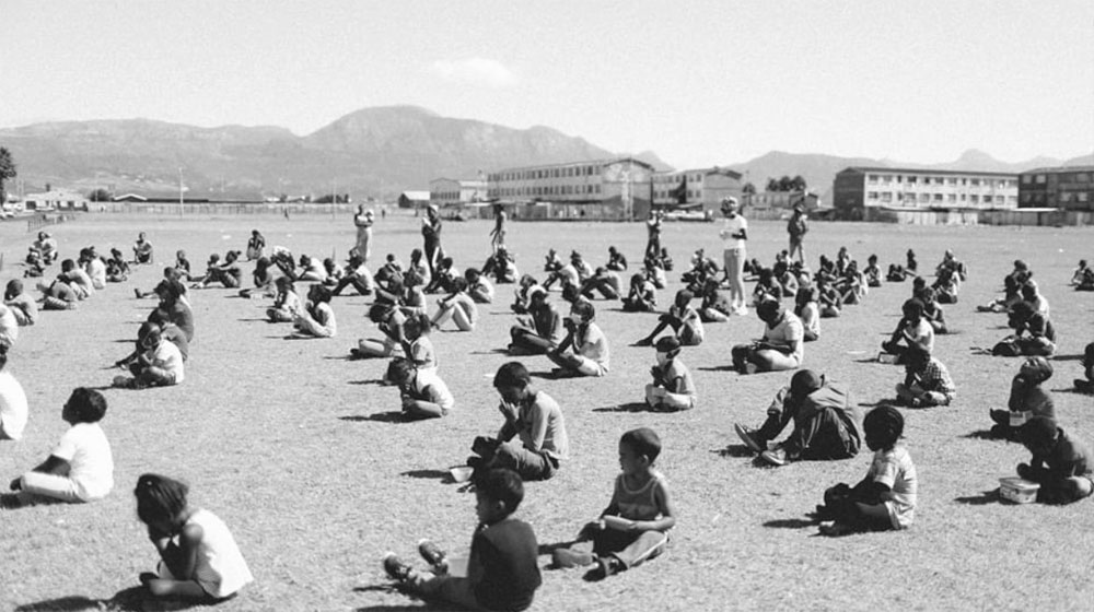 Rotary Club of Newlands assists