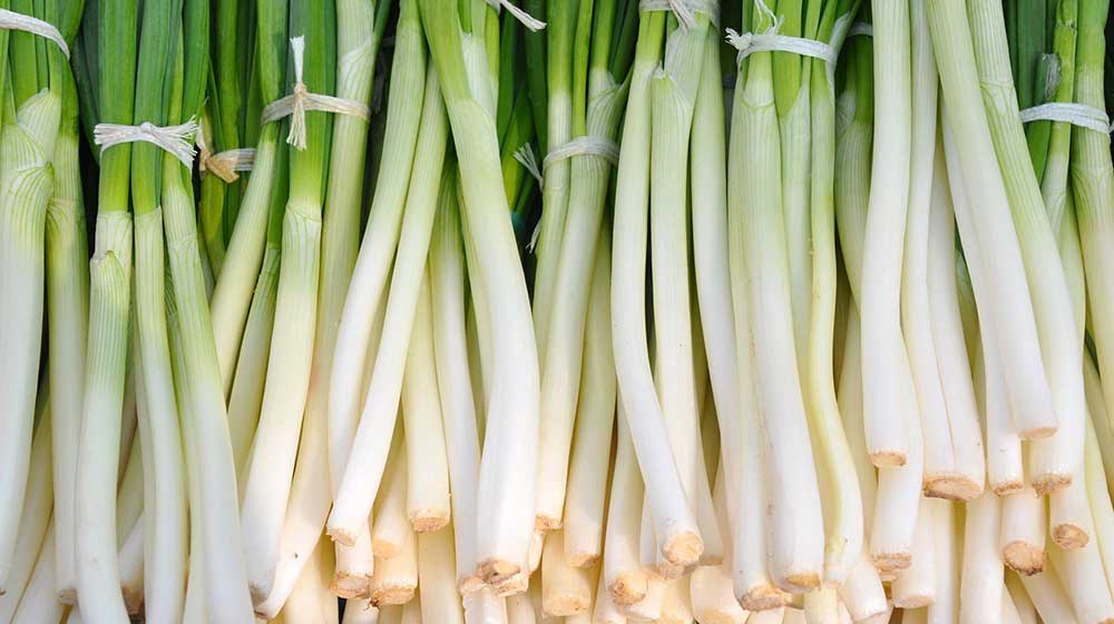 food scraps