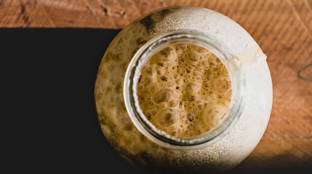 yeast