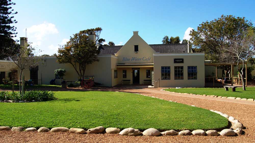 blu water cafe imhoff farm