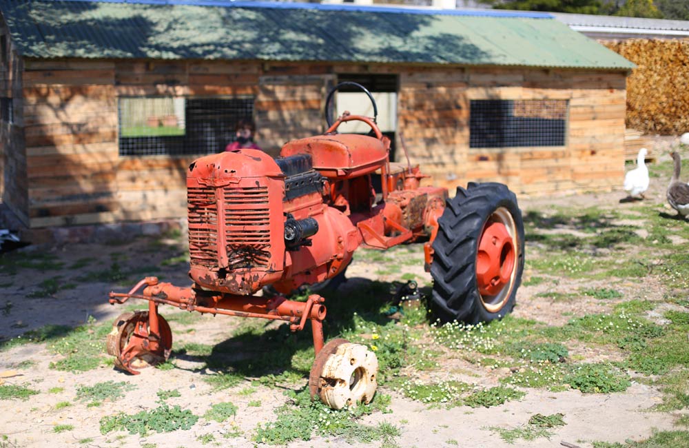 Higgeldy Piggeldy Farm Yard