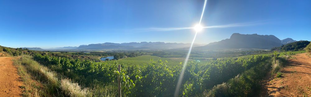 Panoramic Views Boschendal