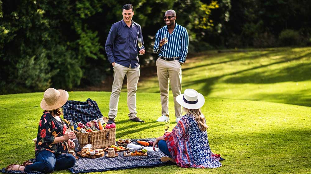 picnic