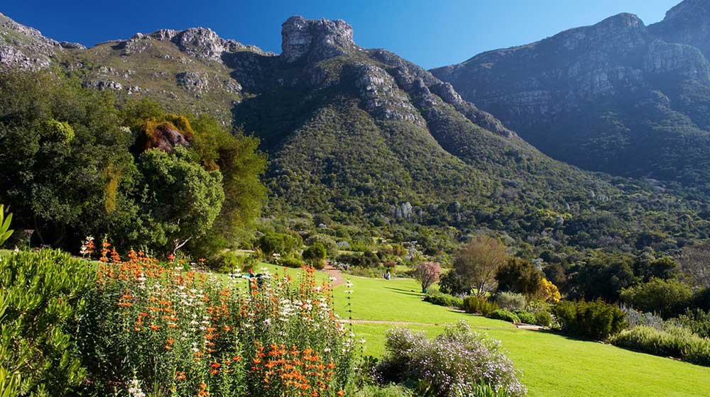 picnic specials around cape town
