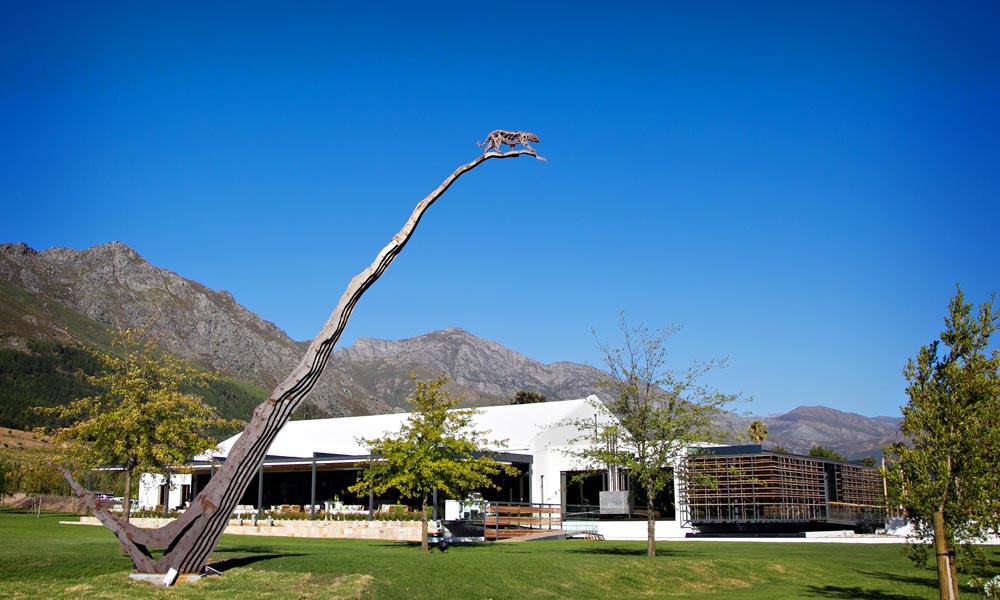 Leopards-Leap Wine Farm