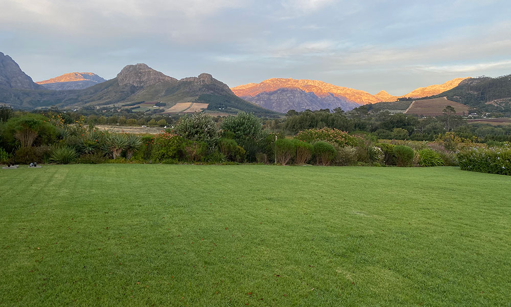 Cape-Vue-Lawns