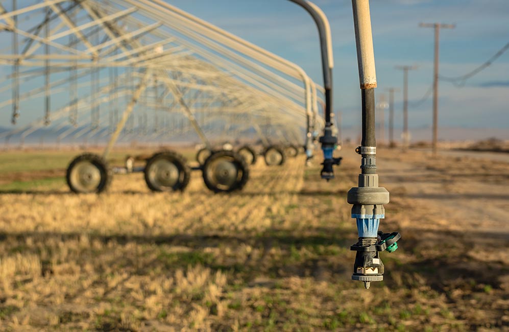 Irrigation