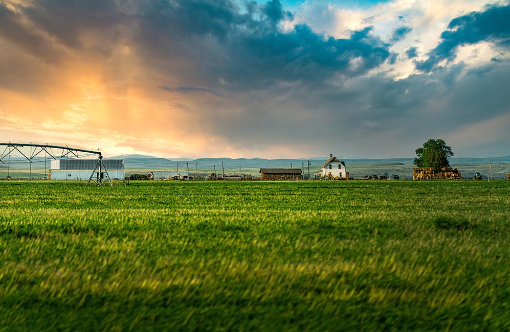 farm irrigation