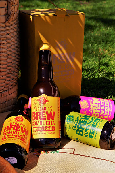 brew kombucha