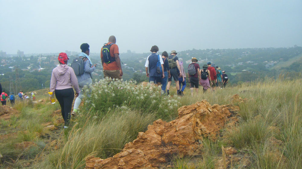 Melville-Kopppies-Hike