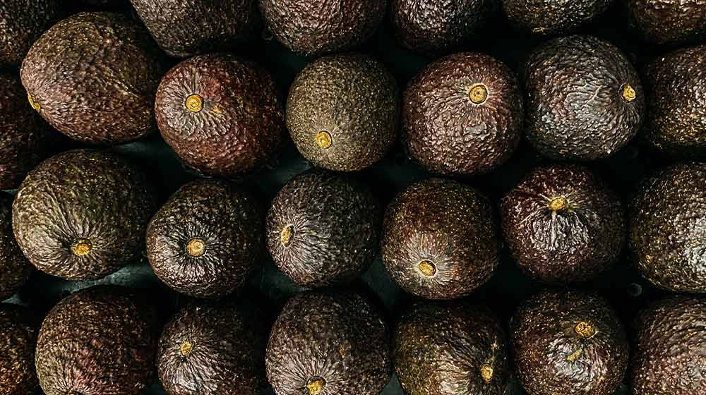 avo varieties