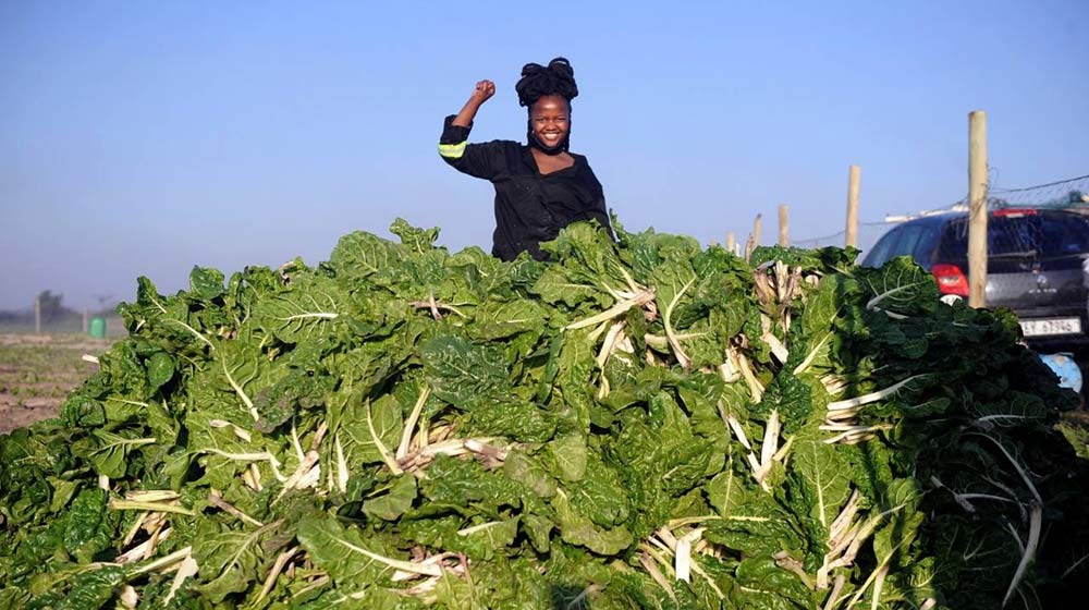ncumisa mkabile