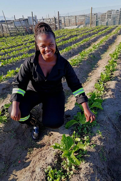 ncumisa spinach queen 