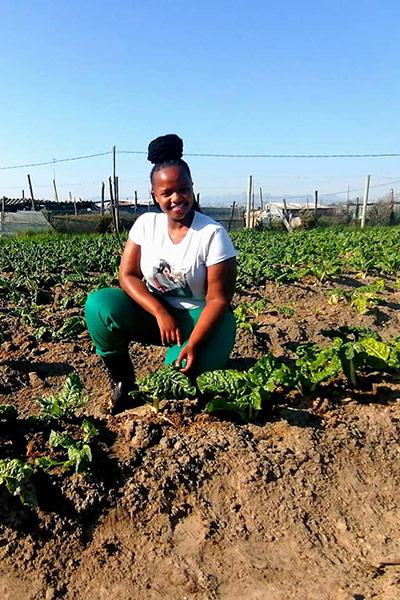 khayelitsha spinach queen 