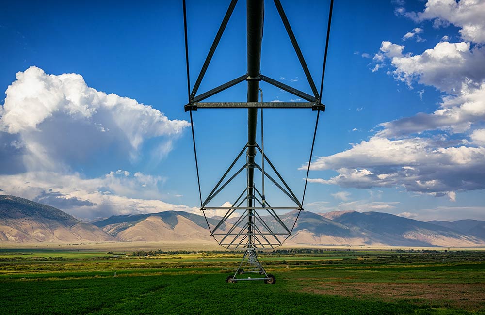 irrigation